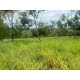 Sitio a venda sp Regiao Ribeirao Preto Cassia dos Coqueiros 3 alqueires