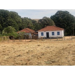 Sitio Arrendamento sp interior Regiao Ribeirao Preto com casa