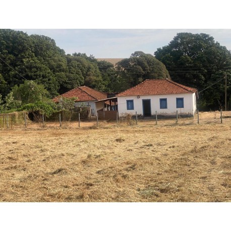 Sitio Arrendamento sp interior Regiao Ribeirao Preto com casa