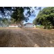 Sitio Arrendamento sp interior Regiao Ribeirao Preto com casa