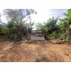 Sitio Arrendamento sp interior Regiao Ribeirao Preto com casa