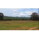 Fazenda a venda MS Cassilandia seringueira
