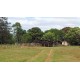 Fazenda a venda MS Cassilandia seringueira