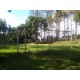 Sitio a venda sp Regiao Ribeirao Preto Sales de Oliveira montado 4.3 ha
