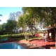 Sitio a venda sp Regiao Ribeirao Preto Sales de Oliveira montado 4.3 ha