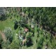 Sitio a venda sp Regiao Ribeirao Preto Sales de Oliveira montado 4.3 ha