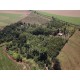 Sitio a venda sp Regiao Ribeirao Preto Sales de Oliveira montado 4.3 ha