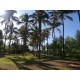 Sitio a venda sp Regiao Ribeirao Preto Sales de Oliveira montado 4.3 ha
