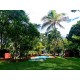 Sitio a venda sp Regiao Ribeirao Preto Sales de Oliveira montado 4.3 ha