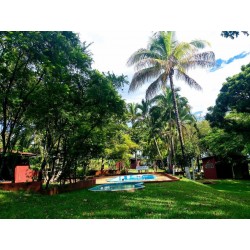 Sitio a venda sp Regiao Ribeirao Preto Sales de Oliveira montado 4.3 ha