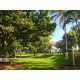 Sitio a venda sp Regiao Ribeirao Preto Sales de Oliveira montado 4.3 ha