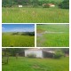 SITIO A VENDA 100KM RIBEIRAO PRETO COM CASA