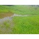 SITIO A VENDA 100KM RIBEIRAO PRETO COM CASA