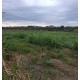 sitio a venda sp regiao ribeirao preto divisa de minas 95 km