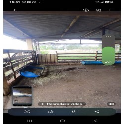 sitio a venda sp regiao Ribeirao Preto Cajuru montado