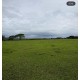sitio a venda sp regiao Ribeirao Preto Cajuru montado