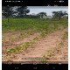 sitio a venda sp regiao Ribeirao Preto Cajuru montado