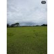 sitio a venda sp regiao Ribeirao Preto Cajuru montado