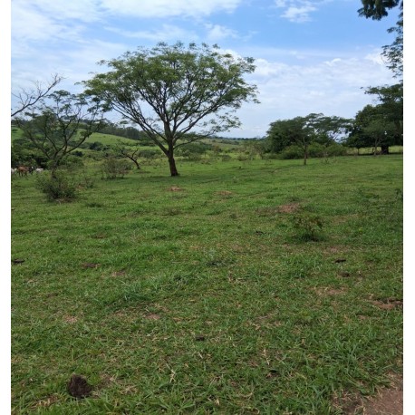 SITIO A VENDA SP REGIAO RIBEIRAO PRETO MOCOCA 5 ALQUEIRES