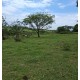 SITIO A VENDA SP REGIAO RIBEIRAO PRETO MOCOCA 5 ALQUEIRES