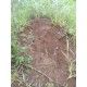 Sitio a venda sp Regiao Ribeirao Preto lazer pecuaria 2 ha
