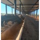 FAZENDA A VENDA SP PECUARIA REGIAO LINS MONTADA CONFINAMENTO 43 ALQUEIRES