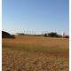 FAZENDA A VENDA SP PECUARIA REGIAO LINS MONTADA CONFINAMENTO 43 ALQUEIRES