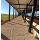 FAZENDA A VENDA SP PECUARIA REGIAO LINS MONTADA CONFINAMENTO 43 ALQUEIRES