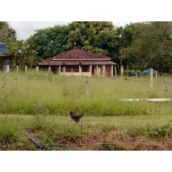 SITIO A VENDA SP REGIAO RIBEIRAO PRETO CAMPINAS SÃO SIMAO 31 HA