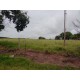 SITIO A VENDA SP REGIAO RIBEIRAO PRETO CAMPINAS SÃO SIMAO 31 HA
