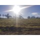 Sitio a venda 90 km de Ribeirao Preto divisa de minas