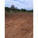Sitio a venda 90 km de Ribeirao Preto divisa de minas
