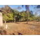 Sitio a venda 90 km de Ribeirao Preto divisa de minas