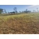 Sitio a venda 90 km de Ribeirao Preto divisa de minas