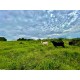 Sitio a venda 95 km Ribeirão Preto Divisa Minas 800 mil