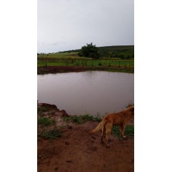 Sitio a venda sp região Ribeirao Preto Altinopolis Serrana