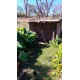 Sitio a venda sp região Ribeirao Preto Altinopolis Serrana