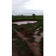 Sitio a venda sp região Ribeirao Preto Altinopolis Serrana