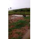 Sitio a venda sp região Ribeirao Preto Altinopolis Serrana