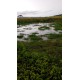 Sitio a venda sp região Ribeirao Preto Altinopolis Serrana