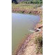 Sitio a venda sp região Ribeirao Preto Altinopolis Serrana