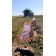 Sitio a venda sp região Ribeirao Preto Altinopolis Serrana