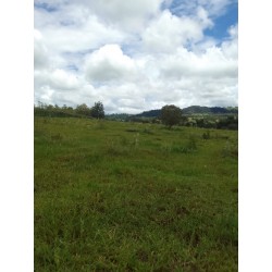 SITIO A VENDA SP REGIAO RIBEIRÃO PRETO 2 HA 320MIL