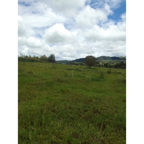 SITIO A VENDA SP REGIAO RIBEIRÃO PRETO 2 HA 320MIL