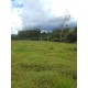 SITIO A VENDA SP REGIAO RIBEIRÃO PRETO 2 HA 320MIL