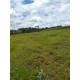 SITIO A VENDA SP REGIAO RIBEIRÃO PRETO 2 HA 320MIL