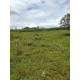 SITIO A VENDA SP REGIAO RIBEIRÃO PRETO 2 HA 320MIL