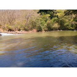 FAZENDA A VENDA MG ARCEBURGO REGIAO RIBEIRAO PRETO PECUARIA