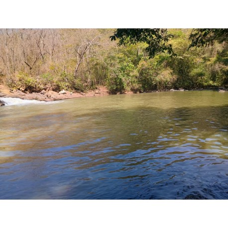 FAZENDA A VENDA MG ARCEBURGO REGIAO RIBEIRAO PRETO PECUARIA