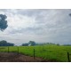 FAZENDA A VENDA MG ARCEBURGO REGIAO RIBEIRAO PRETO PECUARIA